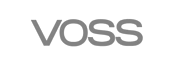 福士汽车（voss）